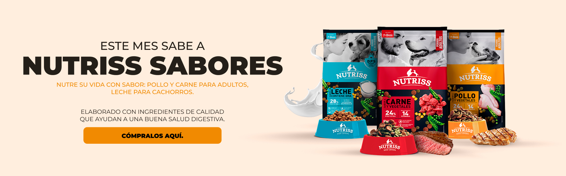 BNP - NUTRISS SABORES 2026